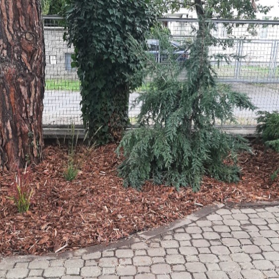 Osazení rohového záhonu